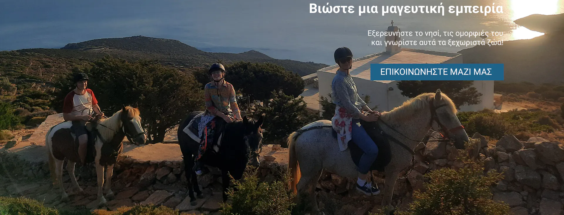 Slider image 1